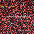 Hole Fashion opaque Glass Color Bead 495#